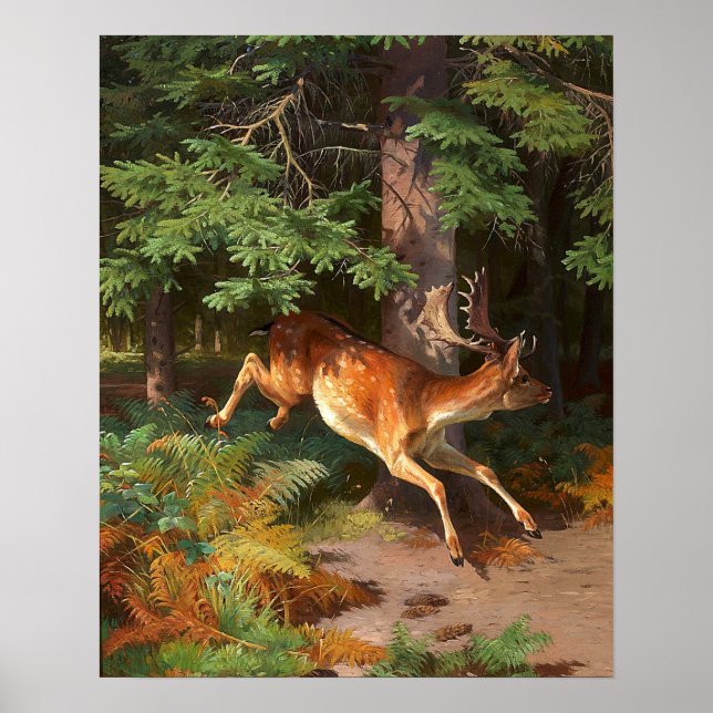 Cute Red Deer In The Forest Poster (Front)