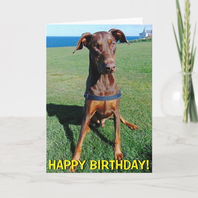 Cute red doberman birthday card (Front)