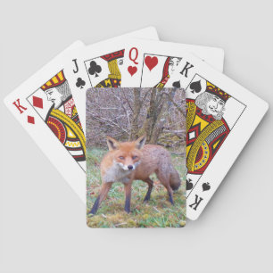 Cute Red Fox Autumn Nature Inspired Family Card 