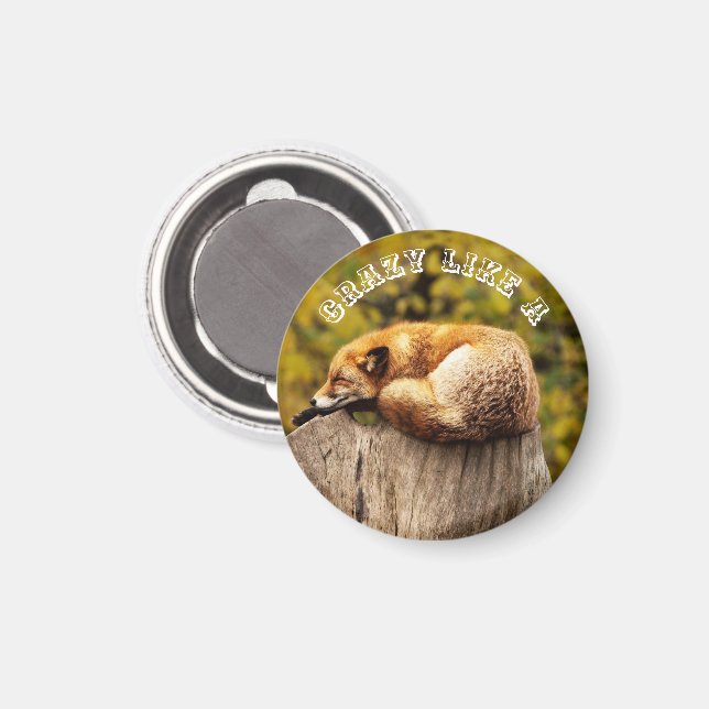Cute Red Fox Resting on Tree Stump Magnet (Front/Back)