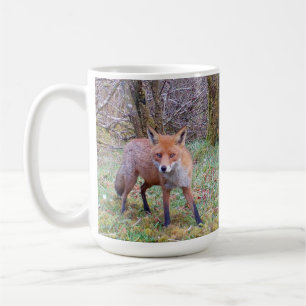 Cute Red Fox Staring Intense Gaze Woodland Animal  Coffee Mug