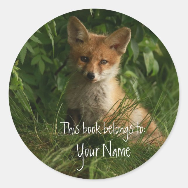 Cute Red Fox, This book belongs Bookplate Classic Round Sticker (Front)