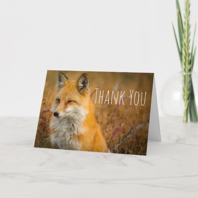 Cute Red Fox Wild Nature Photography Thank You Card (Front)