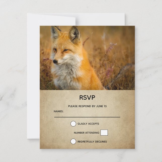 Cute Red Fox Wilderness Nature Photo RSVP Card (Front)