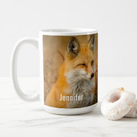 Cute Red Fox Wilderness Nature Photography