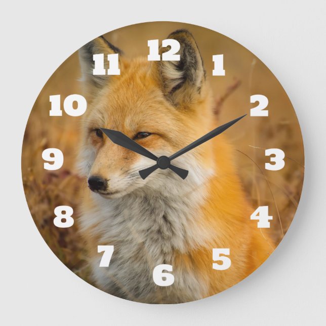 Cute Red Fox Wilderness Nature Photography Large Clock (Front)