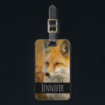 Cute Red Fox Wilderness Nature Photography Luggage Tag<br><div class="desc">A luggage tag with a beautiful photograph of a red fox in autumn. Standing in the wilderness among the brush.</div>