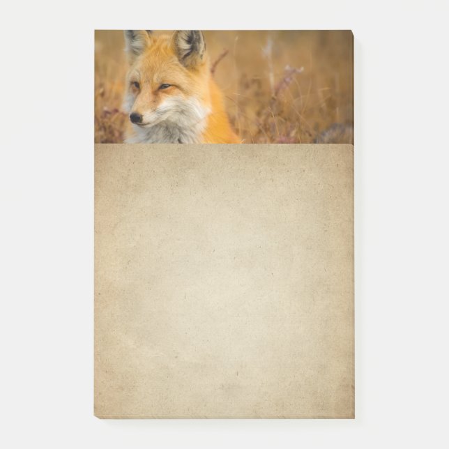 Cute Red Fox Wilderness Nature Photography Post-it Notes (Front)