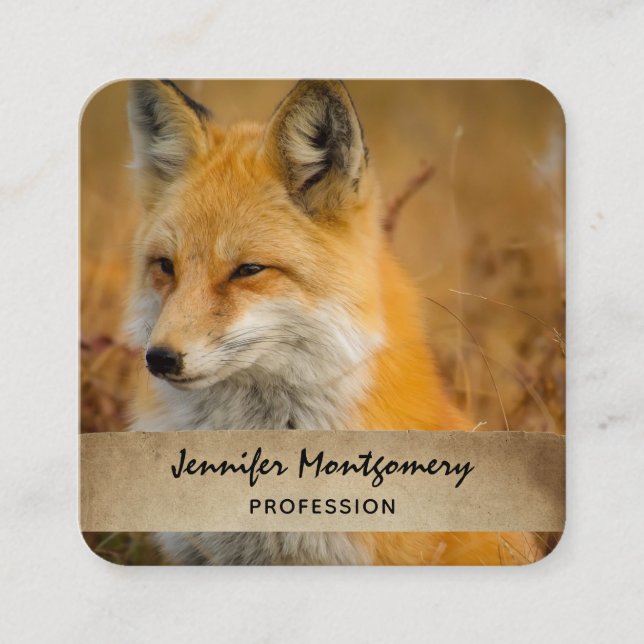 Cute Red Fox Wilderness Nature Photography Square Business Card (Front)