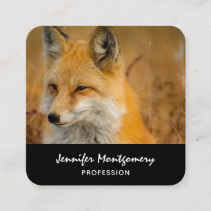 Cute Red Fox Wilderness Nature Photography Square Square Business Card