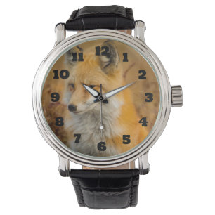Cute Red Fox Wilderness Nature Photography Watch