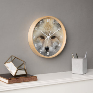 Cute Red Fox Wildlife Photo Clock