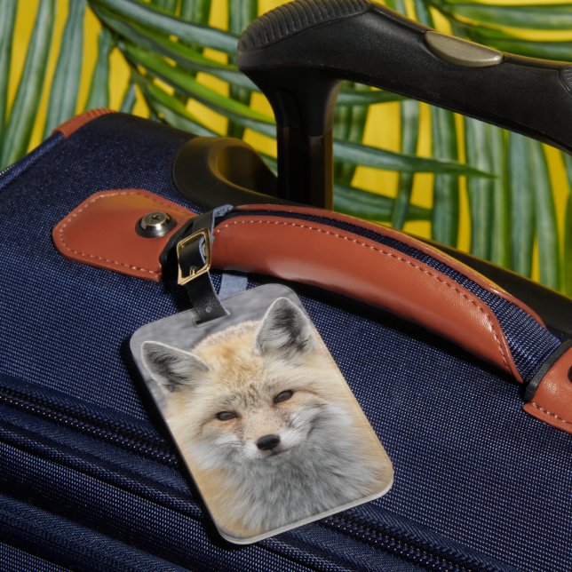Cute Red Fox Wildlife Photo Luggage Tag (Front Insitu 1)