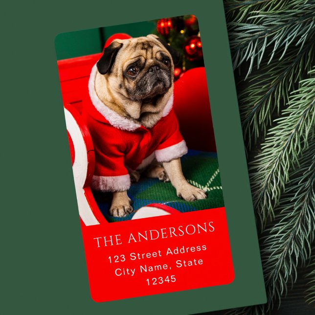 Cute Red & Green Peppy Dog Photo Lover Pawlidays (Creator Uploaded)