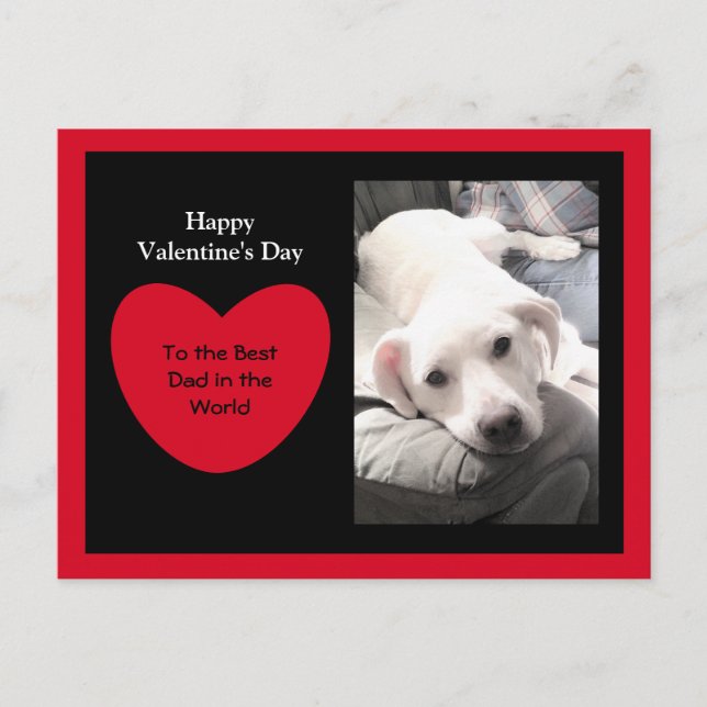 Cute Red Heart Valentine's Day White Puppy Dog Postcard (Front)