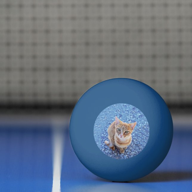 Cute red kitten ping pong ball (Net)