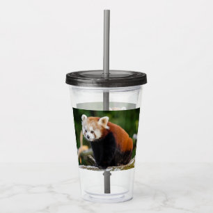Cute Red Panda Acrylic Tumbler