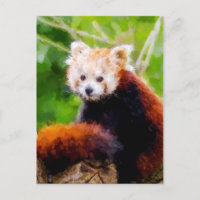 Cute Red Panda Animal Hand Painted