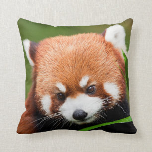 Cute Red Panda Cushion
