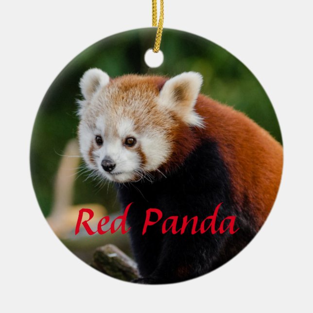 Cute Red Panda Fire Fox Ceramic Tree Decoration (Front)