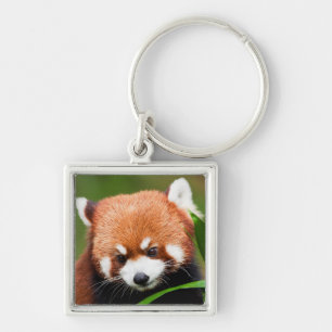 Cute Red Panda Key Ring