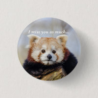 Cute Red Panda Miss You So Much 