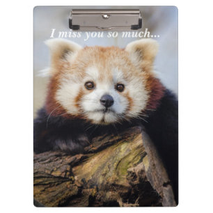 Cute Red Panda Miss You So Much Clipboard