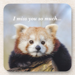 Cute Red Panda Miss You So Much Coaster