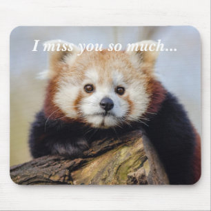 Cute Red Panda Miss You So Much  Mouse Mat