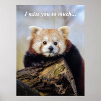 Cute Red Panda Miss You So Much