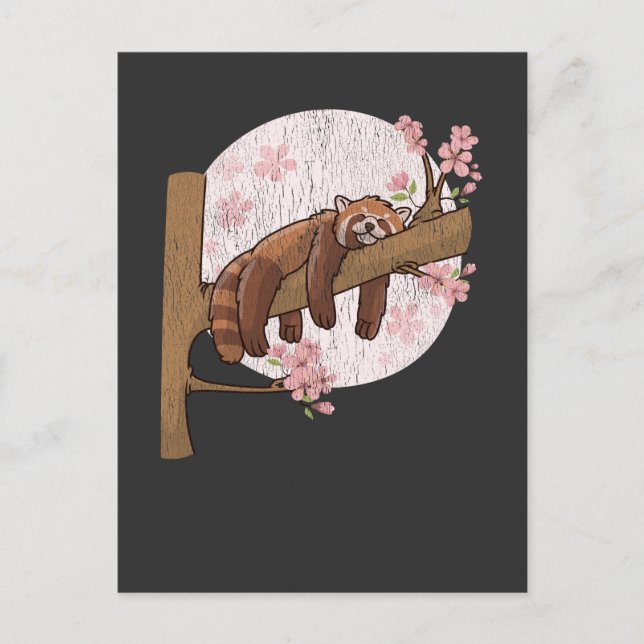 Cute Red Panda Nap Lazy Sleeping Animal Postcard (Front)