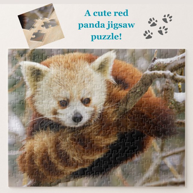 Cute Red Panda on Snowy Tree Jigsaw Puzzle (A cute red panda jigsaw puzzle, great for animal lovers!)
