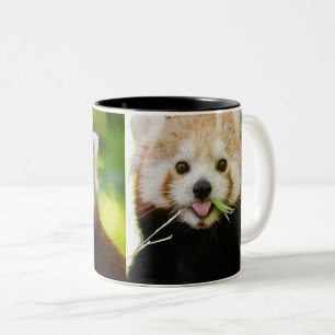 Cute Red Panda Portrait Two-Tone Coffee Mug