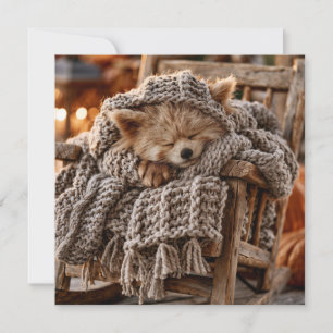 Cute Red Panda Sleeping in Miniature Rocking Chair Holiday Card
