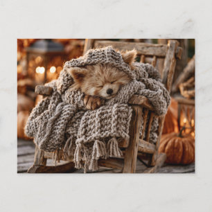 Cute Red Panda Sleeping in Miniature Rocking Chair Postcard