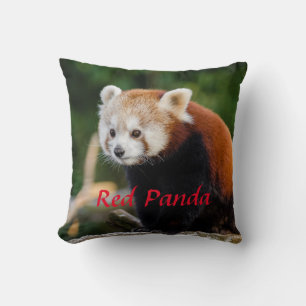 Cute Red Panda Wild Nature Red Text Cushion