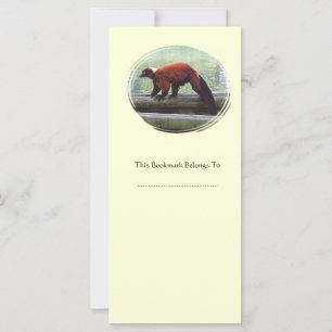 Cute Red-Ruffed Lemur Red Fur White Neck Bookmark