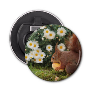 Cute Red Squirrel and Daisies Photo Bottle Opener