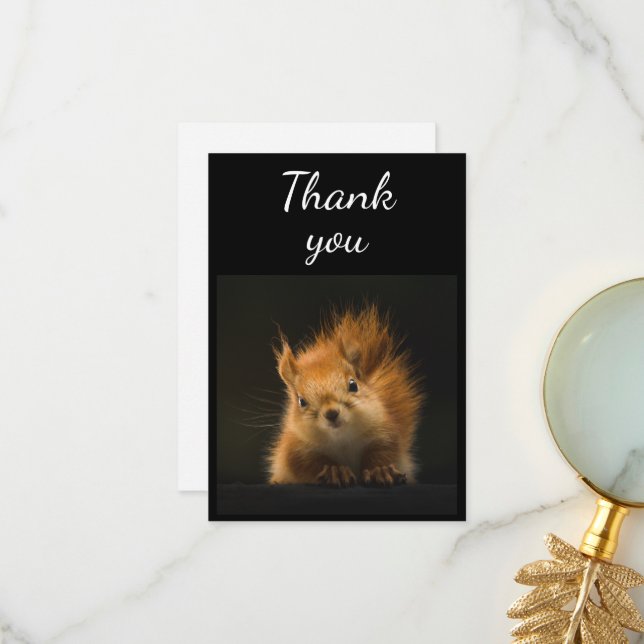Cute Red Squirrel Animal Humour Thank You Card (Front/Back In Situ)
