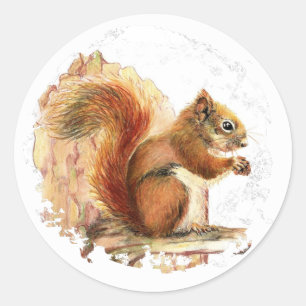 Cute Red Squirrel - Animal, Nature, Wildlife Classic Round Sticker