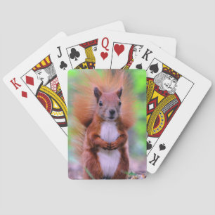 Cute Red Squirrel Photograph Playing Cards