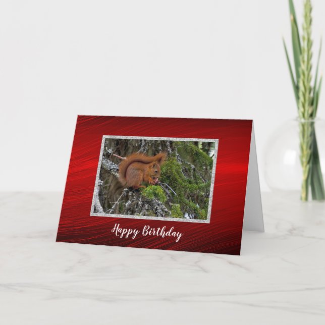 Cute Red Squirrel Pine Photo Birthday Card (Front)