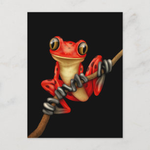 Cute Red Tree Frog on a Branch on Black Postcard