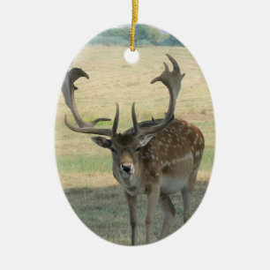 Cute Reindeer Ceramic Tree Decoration