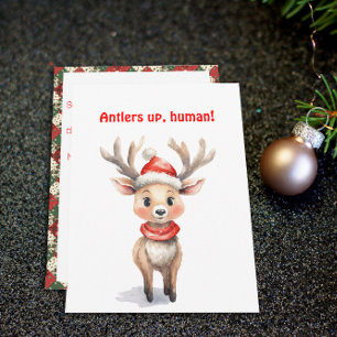 Cute reindeer Rudolph christmas wishes Postcard