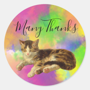 Cute Retro Kitty Cat Many Thanks Abstract Rainbow Classic Round Sticker