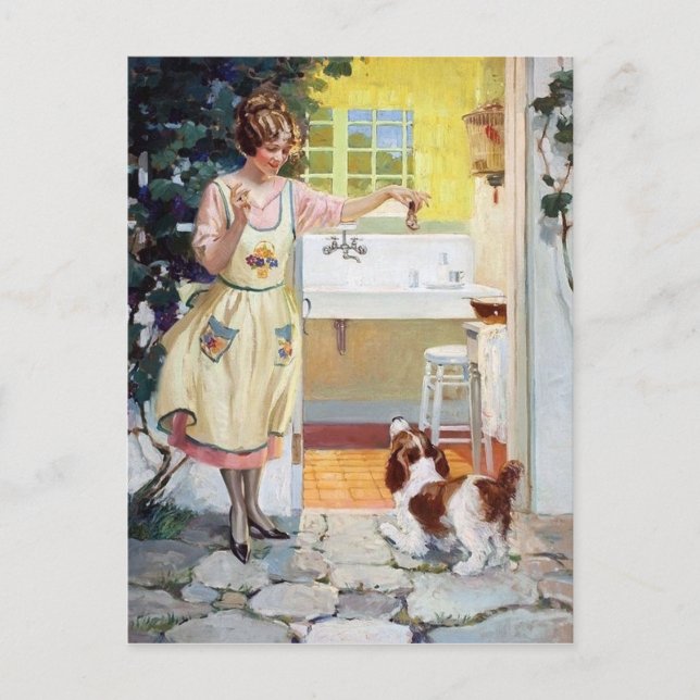 Cute retro vintage lady feeding the dog postcard (Front)