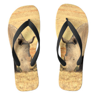 Cute rhinoceros in africa  flip flops
