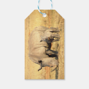 Cute rhinoceros in africa gift tags