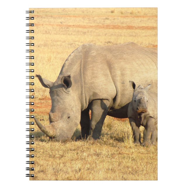 Cute rhinoceros in africa  notebook (Front)